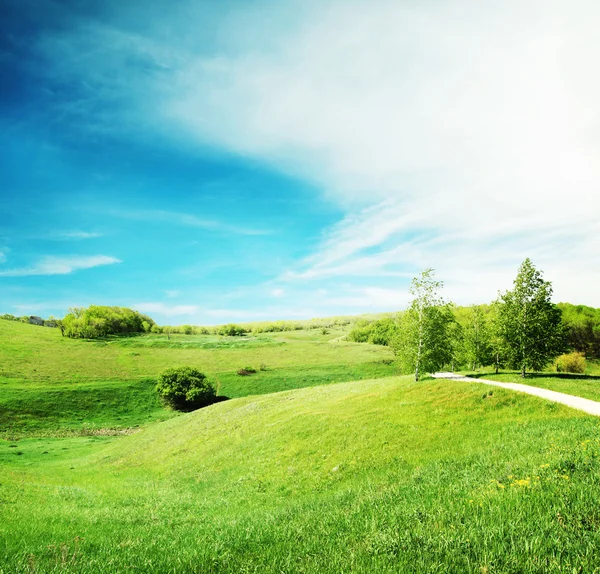 Paisagem com grama verde — Fotografia de Stock