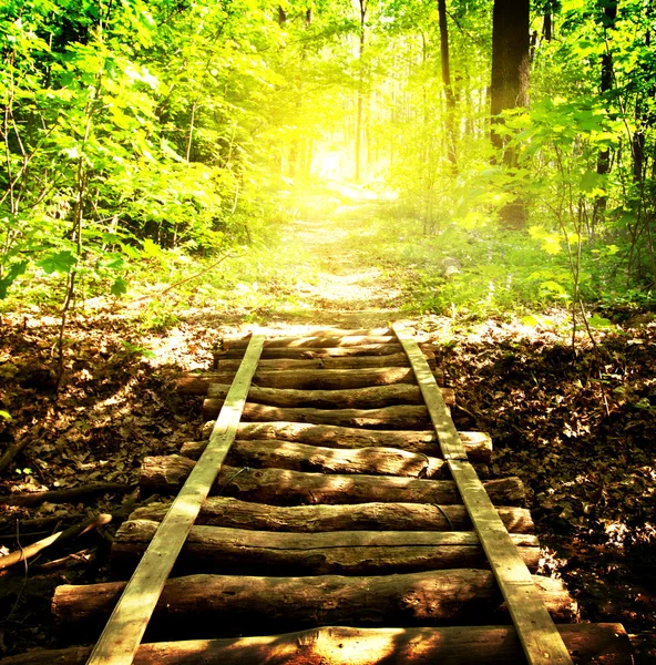 Bridge and footpath — Stock Photo, Image