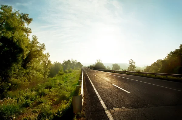 Rural asphalt road — Stock Photo, Image