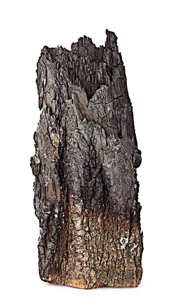 Förkolnat trä med bark — Stockfoto