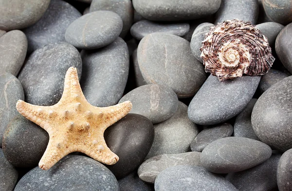 Background of sea stones with starfish — Stock Photo, Image