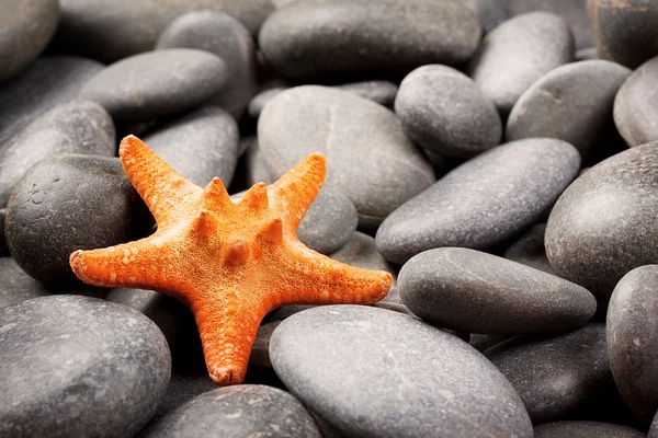 Piedras marinas con estrellas de mar anaranjadas — Foto de Stock