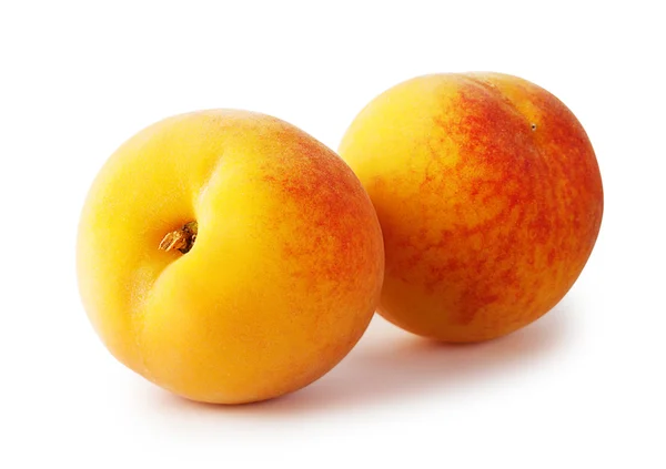 Two ripe yellow apricots — Stock Photo, Image