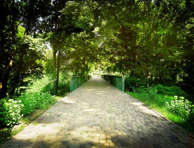 kayalar ile döşeli yol