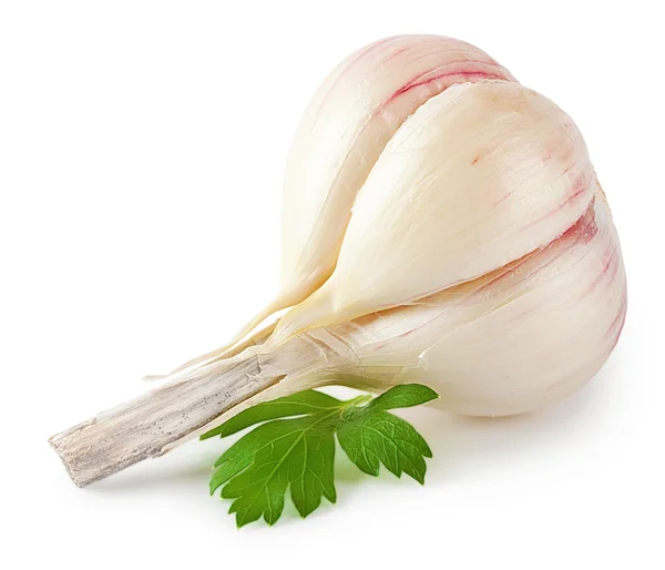 Head of garlic with parsley — Stock Photo, Image