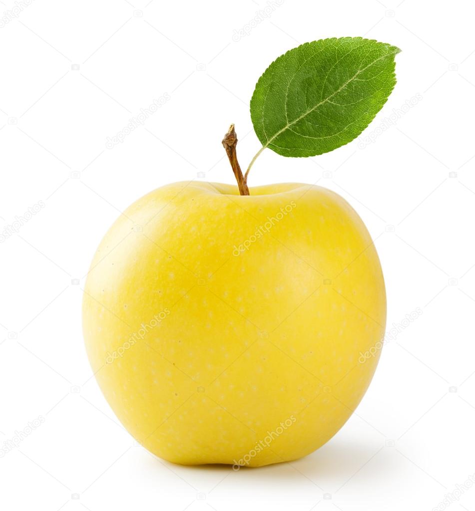 Ripe yellow apple with leaf