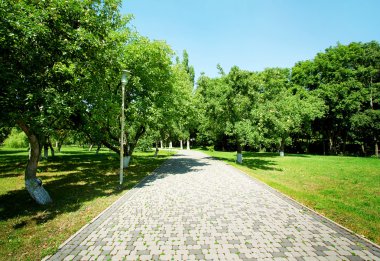 taş yolu