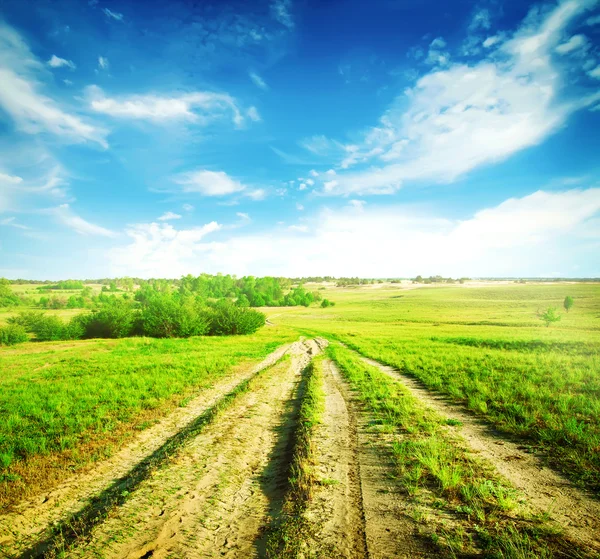 La suciedad un camino de campo — Foto de Stock