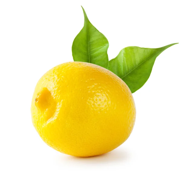 Кислый лимон с листьями — стоковое фото