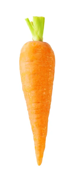 Cenouras cor de laranja com um rabo — Fotografia de Stock
