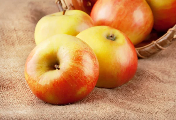 Beautiful ripe apples — Stock Photo, Image