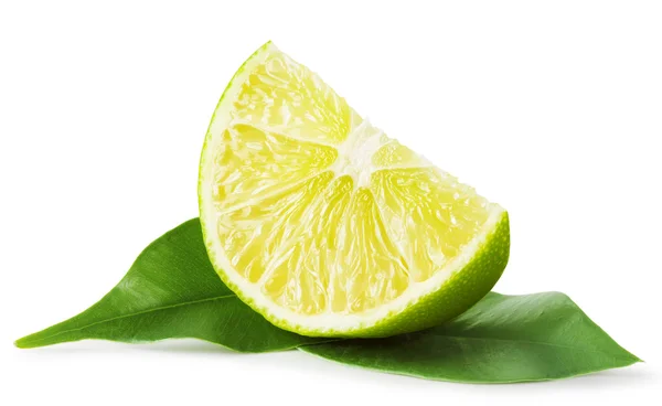 Slice of lime with leaves — Stock Photo, Image