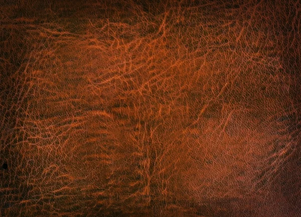 Sztuka tło szorstka skóra brązowy — Zdjęcie stockowe