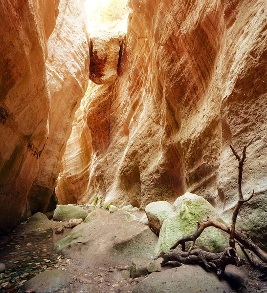 Avakas canyon on the summer day — Stock Photo, Image