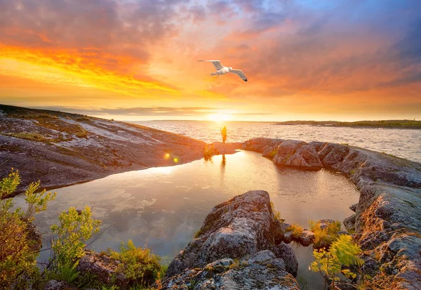 Stenen oever van het meer bij zonsondergang en meeuw in de lucht — Stockfoto