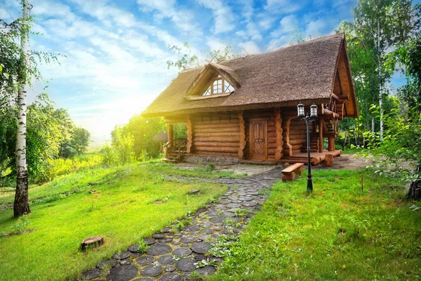 Path Wooden House Birch Grove Summer Day — Stock Photo, Image