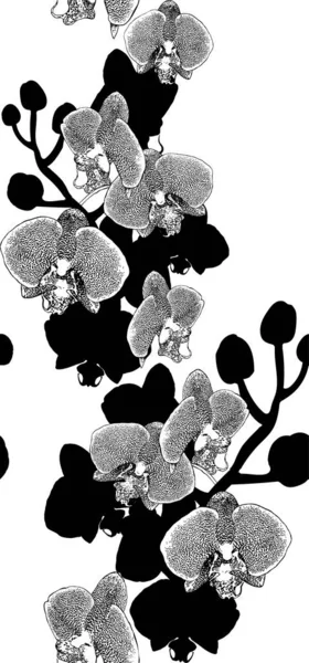 エキゾチックな蘭と黒と白のコントラストの花のシームレスなパターン. — ストックベクタ
