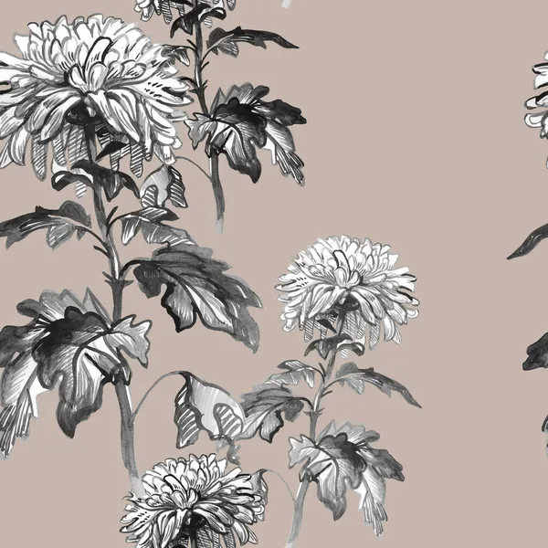 Μαύρη διαφήμιση λευκά άνθη χρυσάνθεμα απομονωμένα σε μονόχρωμους τόνους. — Φωτογραφία Αρχείου