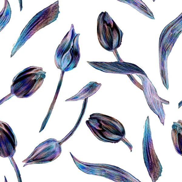 令人惊奇的无缝图案，蓝色郁金香花朵与白色隔离. — 图库照片