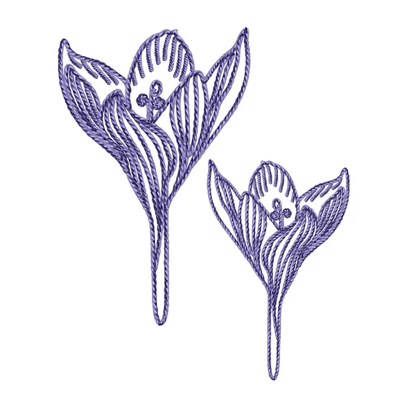 Vector draad borduurwerk design element Crocus bloem geïsoleerd. — Stockvector