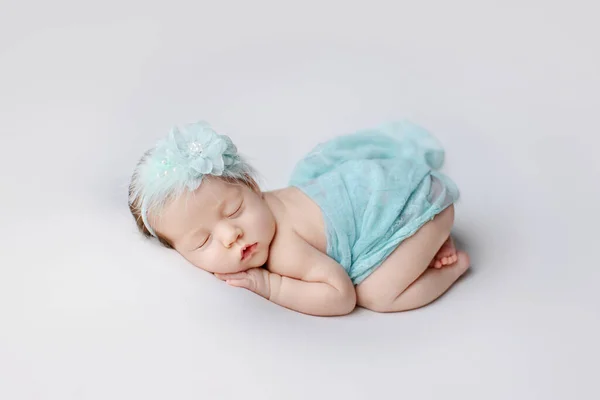 Newborn Girl White Background Photoshoot Newborn Portrait Beautiful Sleeping Newborn Immagini Stock Royalty Free