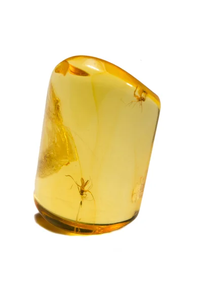 Amber with insects — Stock Photo, Image