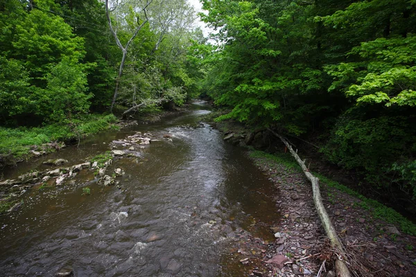 Zijrivier van Delaware river — Stockfoto