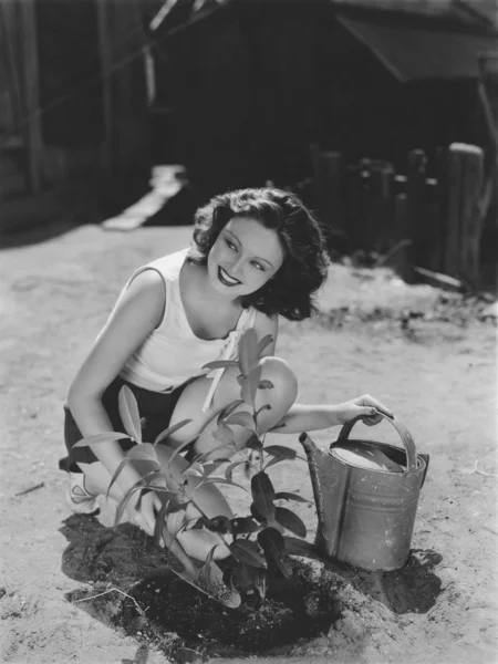 Planting season — Stock Photo, Image