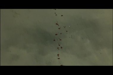 insan iskeleti için önde gelen kapıdan kattaki kan izi kaydırma