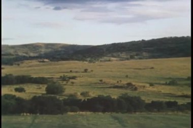 Vadinin görünümü kaydırma