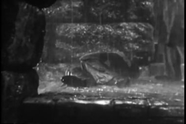 düşük açılı görünümü kişi cesedin nehire tekme