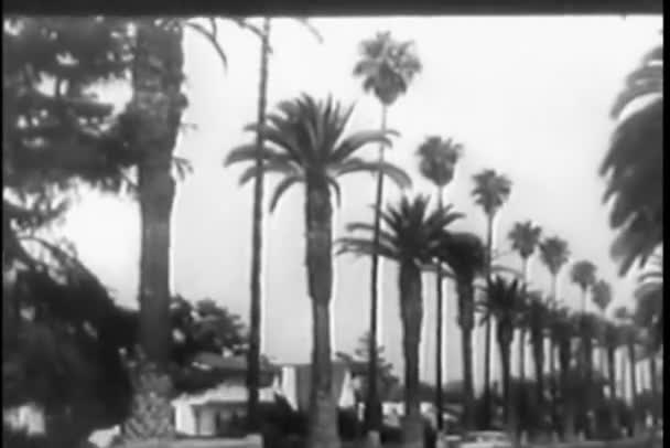 Jaren 1950 auto's beweegt langs bomen omzoomde weg en snelweg — Stockvideo