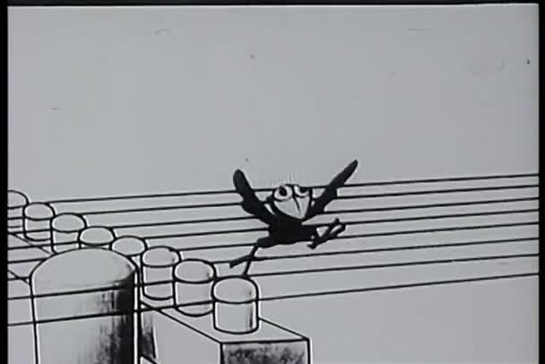 Γελοιογραφία του πουλιού αποπτέρωση τηλεφωνικές γραμμές όπως χορδές κιθάρας — Αρχείο Βίντεο