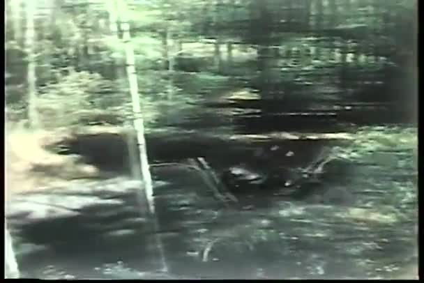士兵在军事吉普车穿过树木繁茂的区域 — 图库视频影像