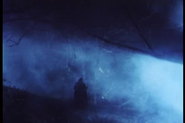 Vue arrière de l'homme marchant dans le brouillard la nuit — Video