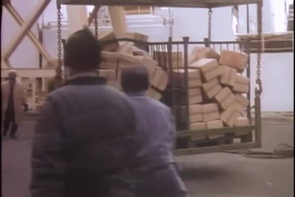 Lading gelost in Midden-Oosten poort — Stockvideo