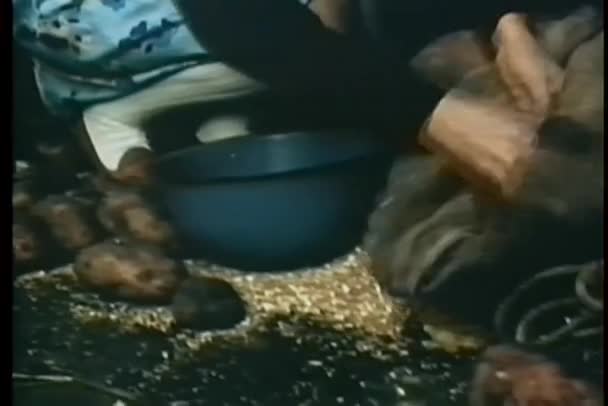 Medium shot of hands filling up pan with fodder — Stock Video