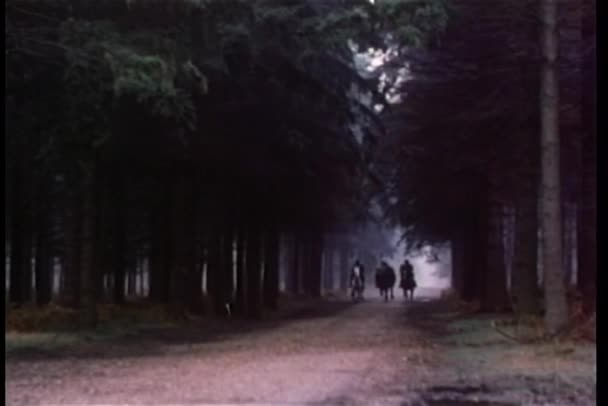 Hommes à cheval à travers la forêt — Video