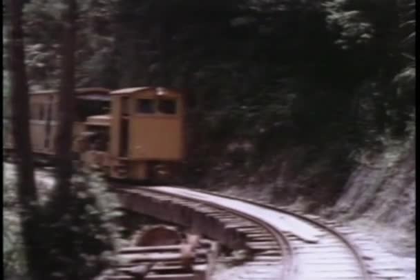 Pequeño tren que viaja a través de la zona boscosa — Vídeo de stock