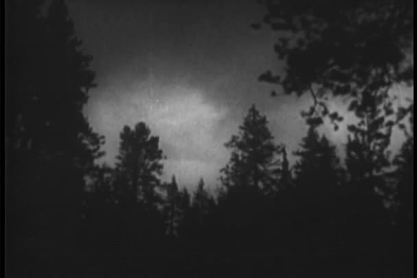 Освітлювальний болт в лісі — стокове відео