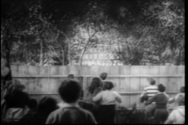 Rear view of children peering over wooden fence — Stock Video