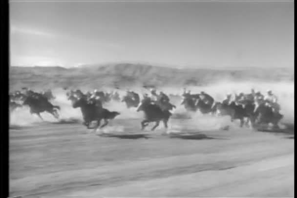 Cavalaria marroquina carregando pelo deserto — Vídeo de Stock