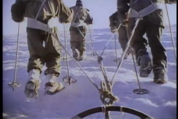 Vedere din spate a expediției antarctice — Videoclip de stoc
