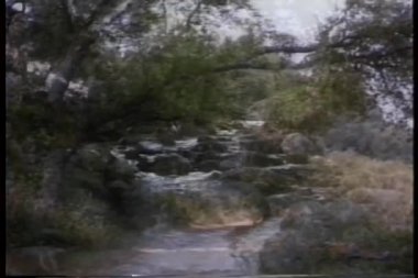 Montaj Vadisi ve brook