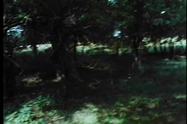 oogpunt schot van de mens op zoek naar iemand in bos