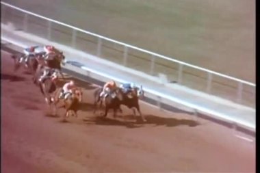 at yarış boyunca yol alarak at