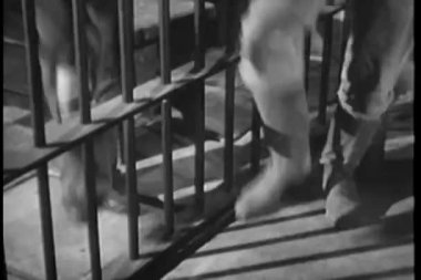 düşük bölümünü hapiste stomping ayakları