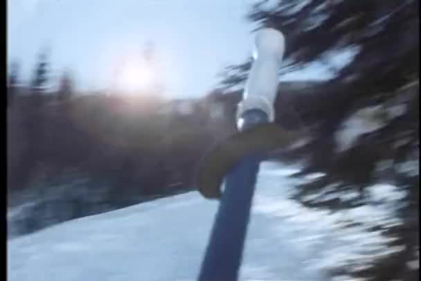 Punto de vista plano de bastón de esquí con nieve y árbol en el fondo — Vídeo de stock
