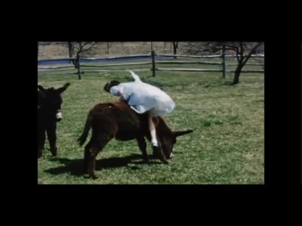 Liten flicka sitter på en åsna medan andra barn leker i fältet — Stockvideo