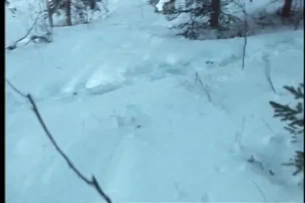 Punto de vista plano de la persona caminando a través de la nieve en los bosques — Vídeo de stock